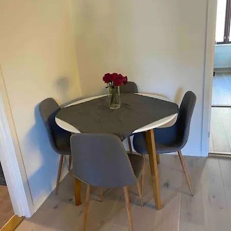 Moderne Midt I Sentrum Av Fredrikstad