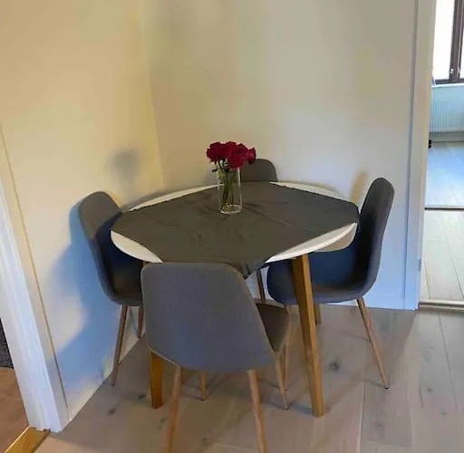 Moderne Midt I Sentrum Av Fredrikstad