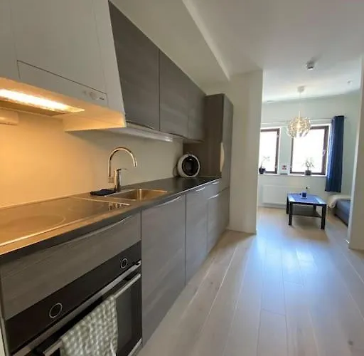 Moderne Midt I Sentrum Av Appartamento *